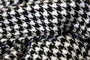 23rd Jan 2016 - Houndstooth