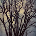 Tree by dianen