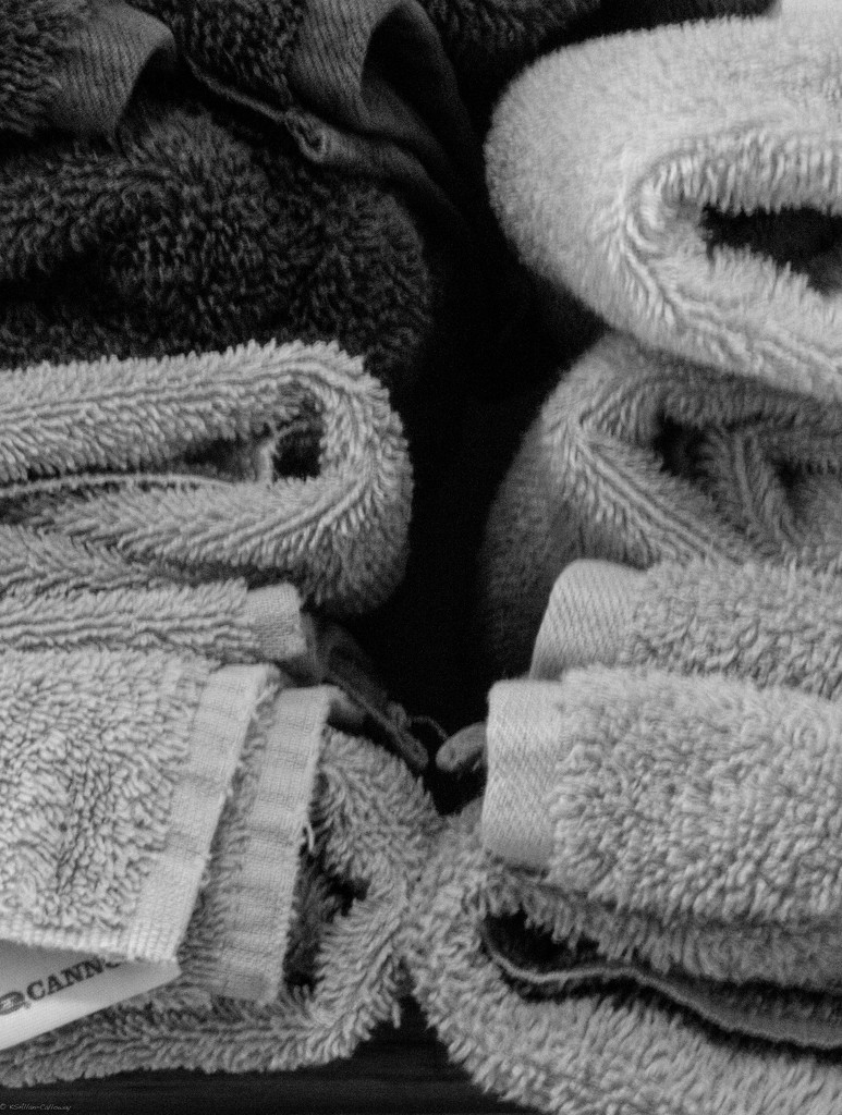 Folded towels by randystreat