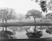 2nd Feb 2016 - Golfing on s foggy morning