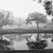 Golfing on s foggy morning by eudora