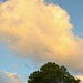 Cloud Catching the Sun by nickspicsnz