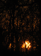 3rd Feb 2016 - Dying Embers of the Setting Sun