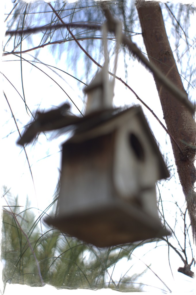 birdhouse by blueberry1222