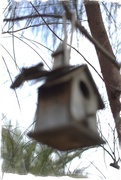 2nd Feb 2016 - birdhouse