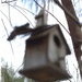 birdhouse by blueberry1222