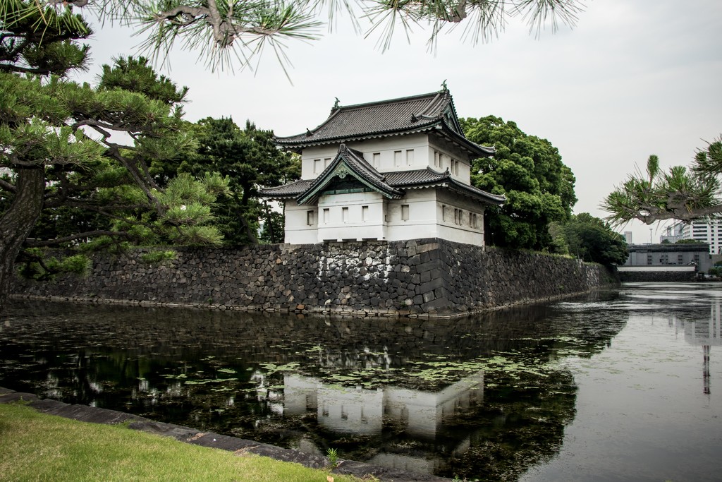 Imperial Palace, Tokyo Japan by darylo
