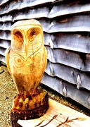 3rd Feb 2016 - Owl Carving