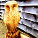 Owl Carving by ajisaac