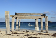 25th Jan 2016 - Off For A Spot Of Fishing At Hamelin Bay _DSC1861