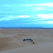 4th Feb 2016 - Sahara Sunrise