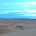 Sahara Sunrise by brookiew