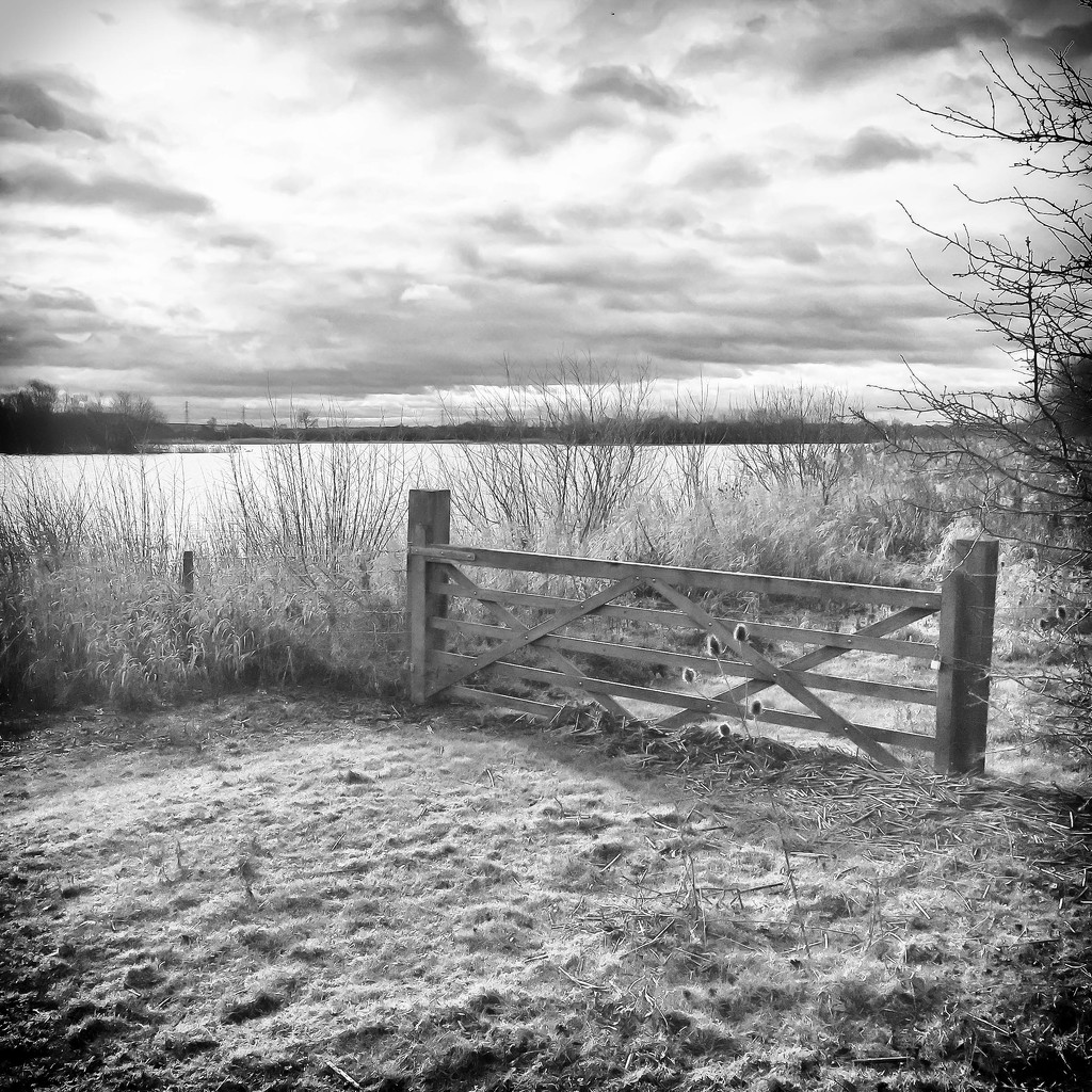 2016 02 04 - The Gate by pamknowler
