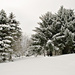 Winter wonderland 3 by elisasaeter