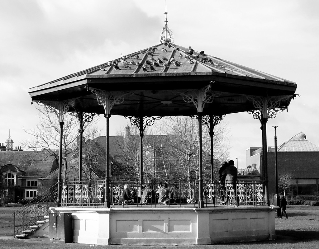 the bandstand by quietpurplehaze