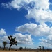 Antelope Valley Skies by jnadonza