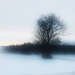 A Tree In The Cold by digitalrn