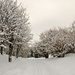 Winter wonderland 5 by elisasaeter