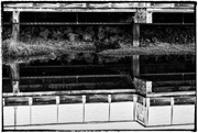 5th Feb 2016 - Black and WhiteUnder the Pier Reflections 