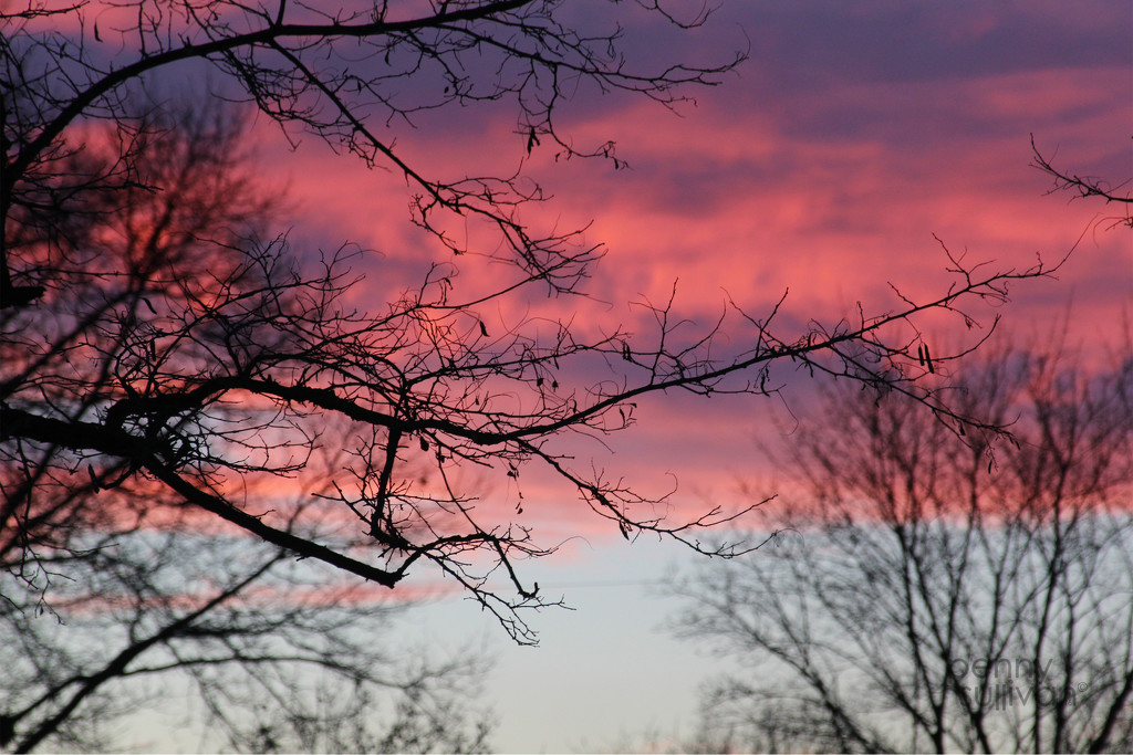 0201_9469 Red sky at night by pennyrae