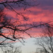 0201_9469 Red sky at night by pennyrae