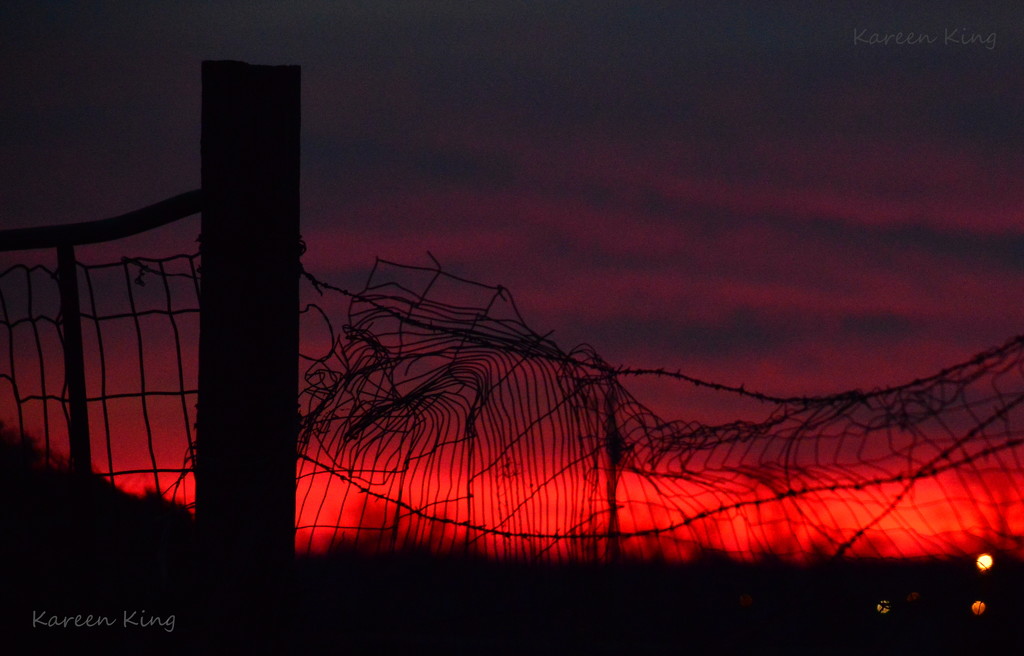 Rickety Fence Before a Kansas Sunrise by kareenking