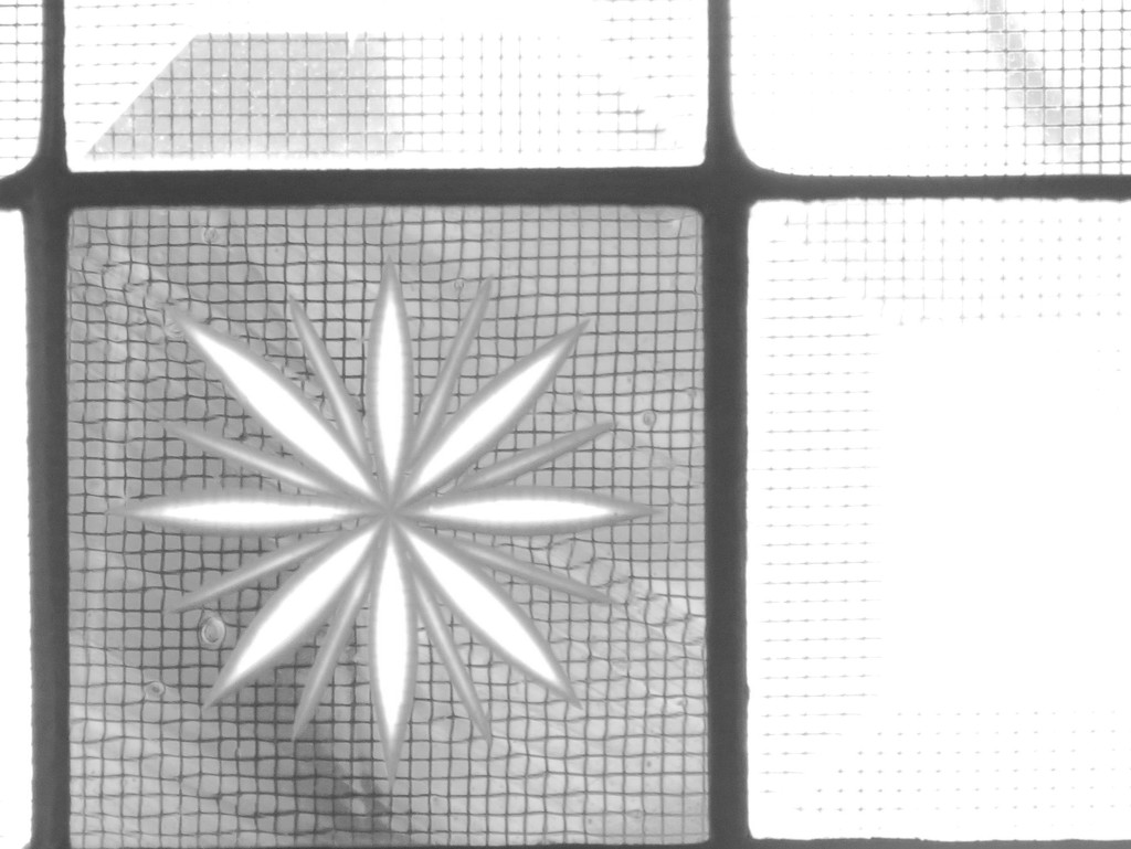 Patterns In the Window by grammyn