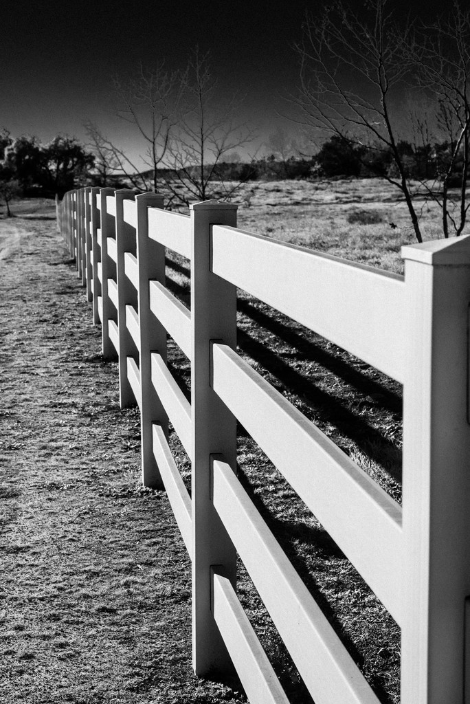 White Fences by cjoye