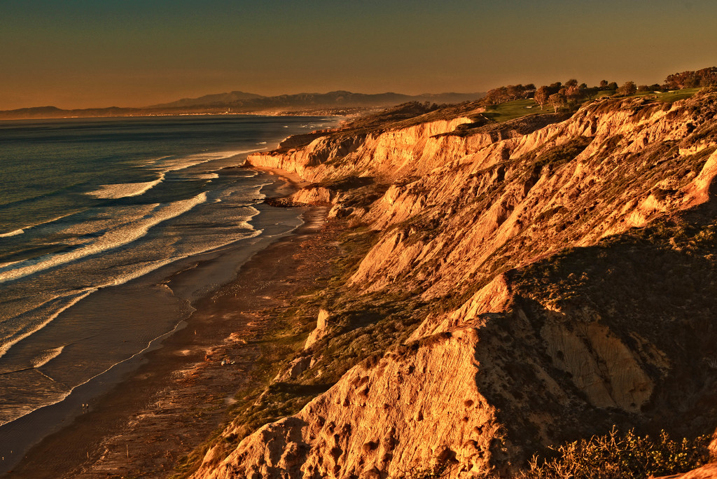 Torrey Pines by joysfocus