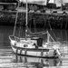 Only boat still in the harbour by frequentframes