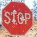 common stop signs around here by scottmurr