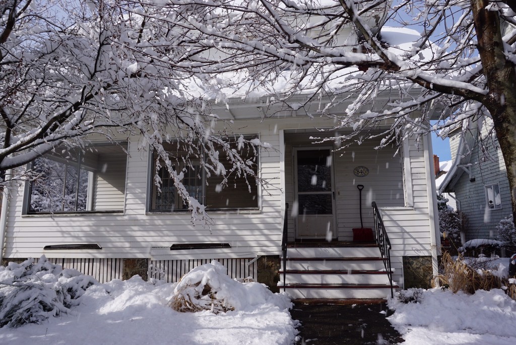 Snow in Swampscott by allie912