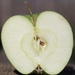 apple B-side by scottmurr