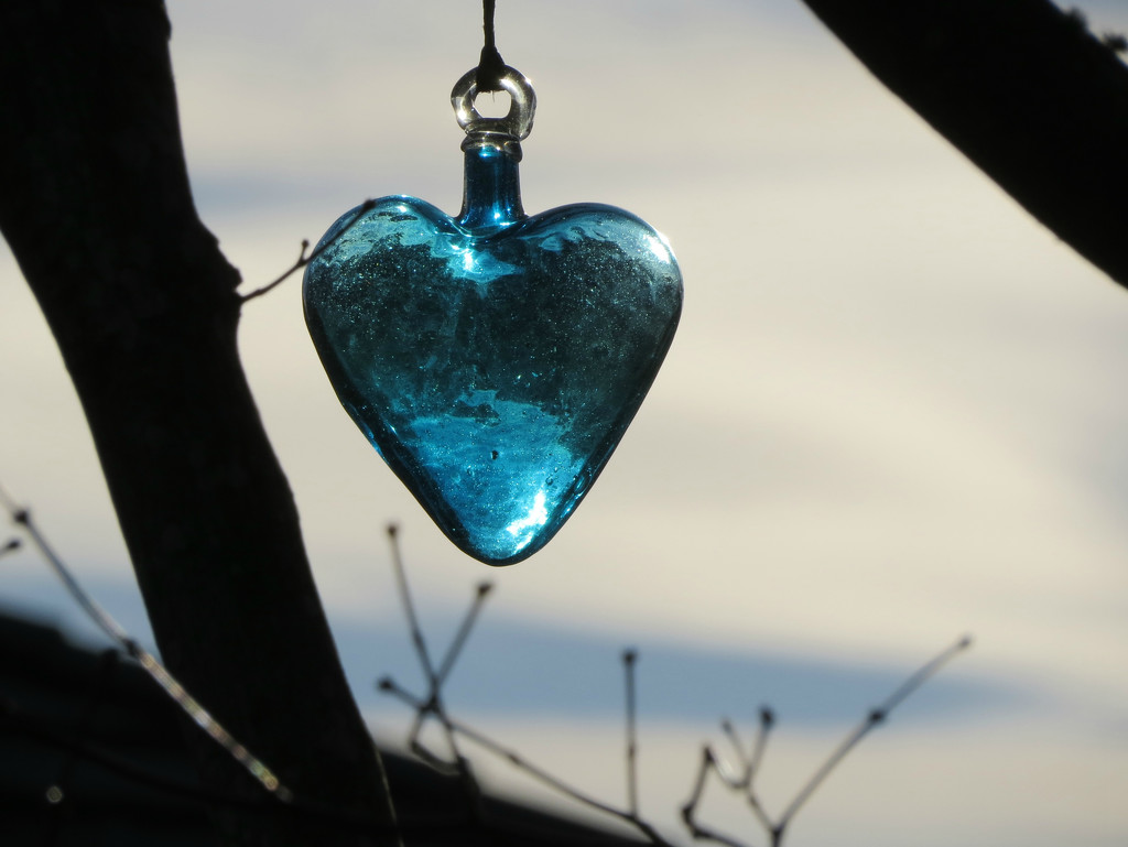 Blue Heart by seattlite