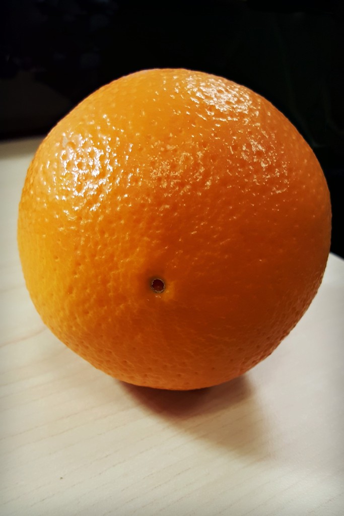 Perfect Orange? by melinareyes