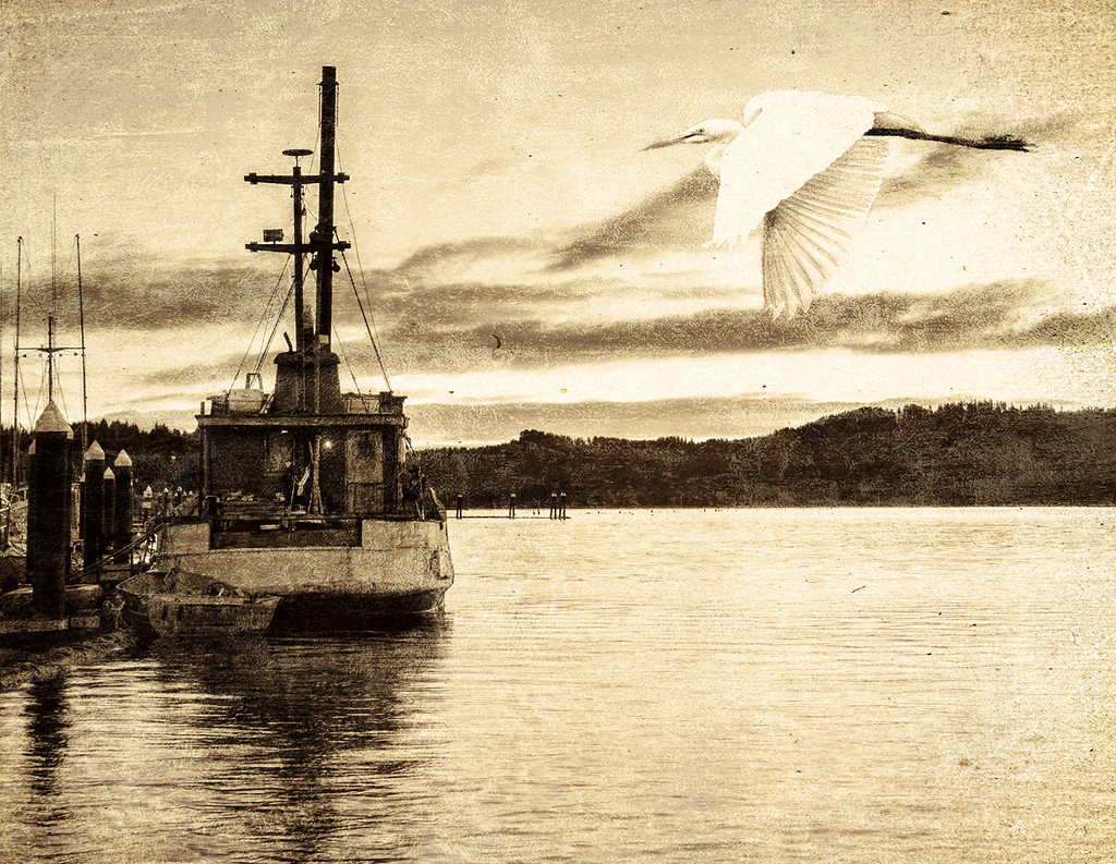 White Egret Flying Over Old Fishing Boat 2 by jgpittenger