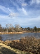 7th Feb 2016 - Frost Hill at Morton Arboretum 