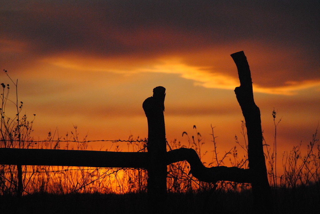 Crooked Fence Sunset by genealogygenie