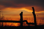 5th Feb 2016 - Crooked Fence Sunset