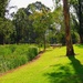 Park in Myrtleford by pictureme