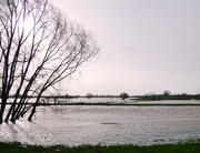 8th Feb 2016 - The River Parrett is in there somewhere ....