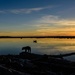 Man and His Dog At Driftwood Sunset  by jgpittenger