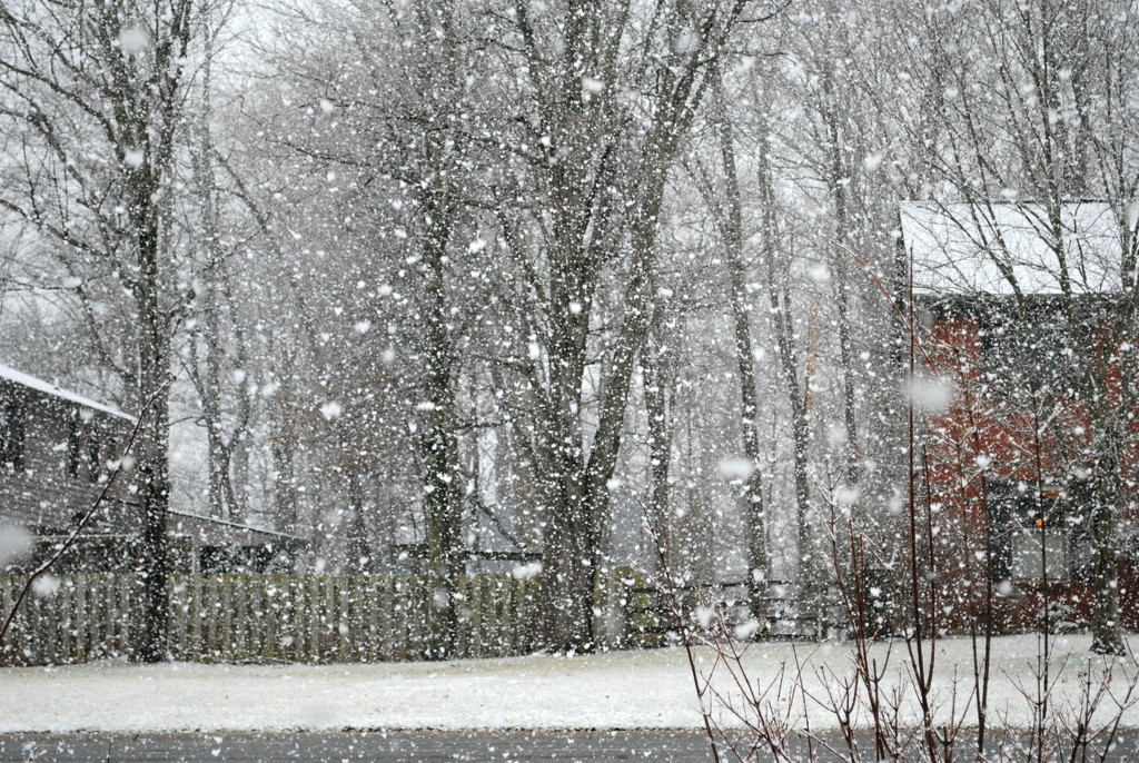 Someone Shook Up My Snow Globe Today by alophoto