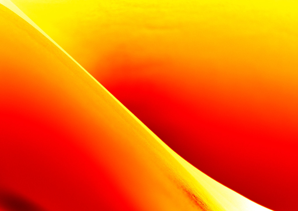 Passion Abstract by jayberg