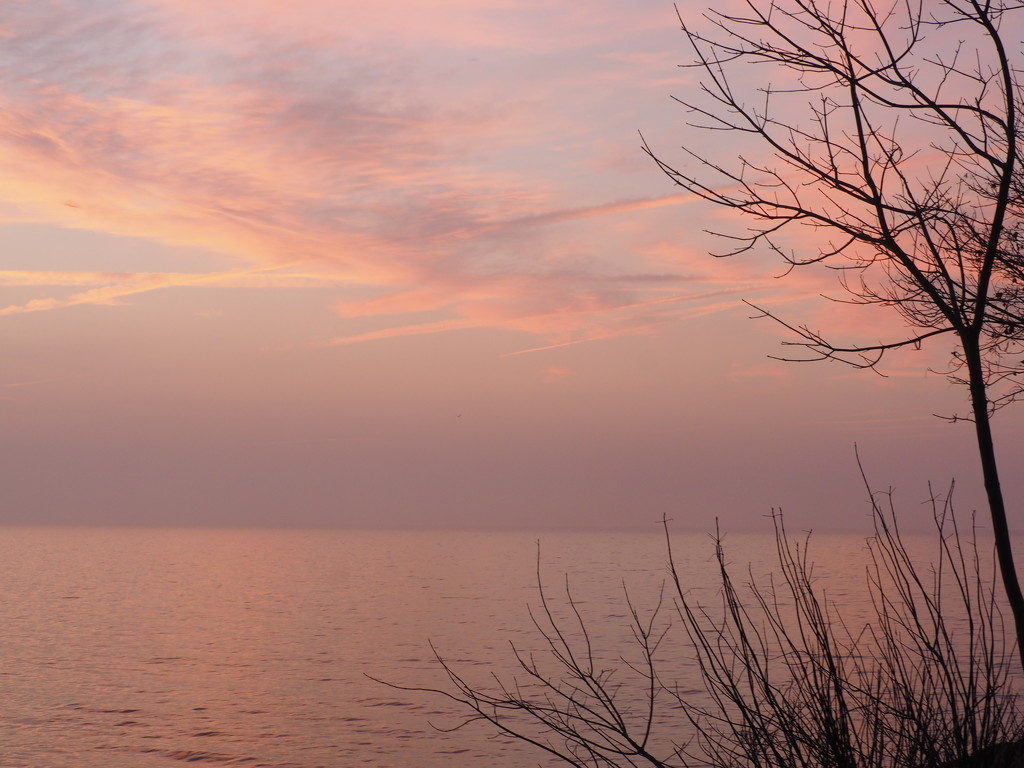 Pastel Morning by selkie