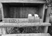 9th Feb 2016 - Eggs for sale