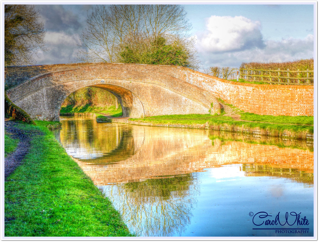 Canal Bridge, Gayton by carolmw