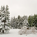 More winter wonderland by elisasaeter