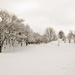 More winter wonderland 2 by elisasaeter