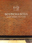 10th Feb 2016 - ABC's Retail Style......S is for Scotch and Soda